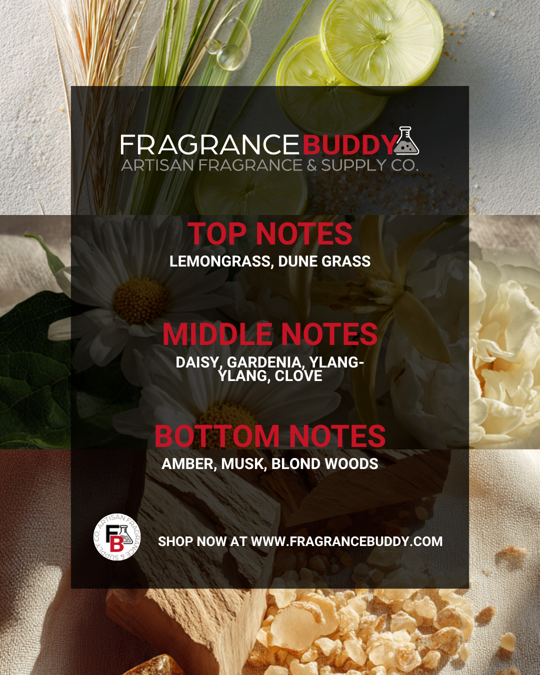 Beach Daisies Type Fragrance Oil - FragranceBuddy