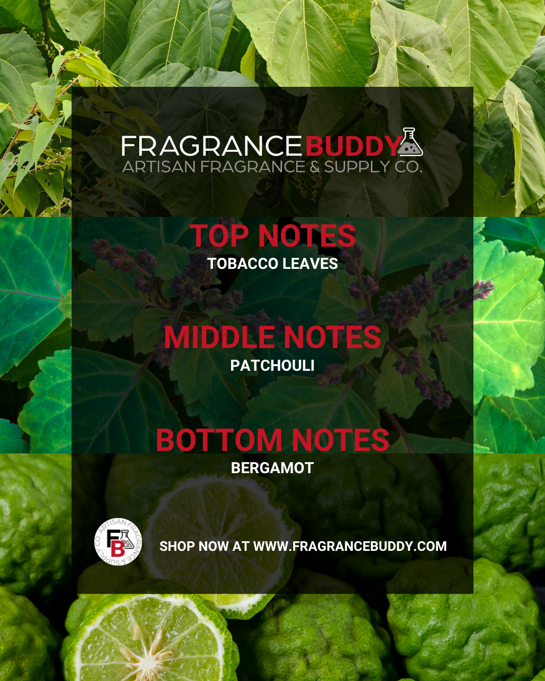 Bergamot Tobacco Type Fragrance Oil