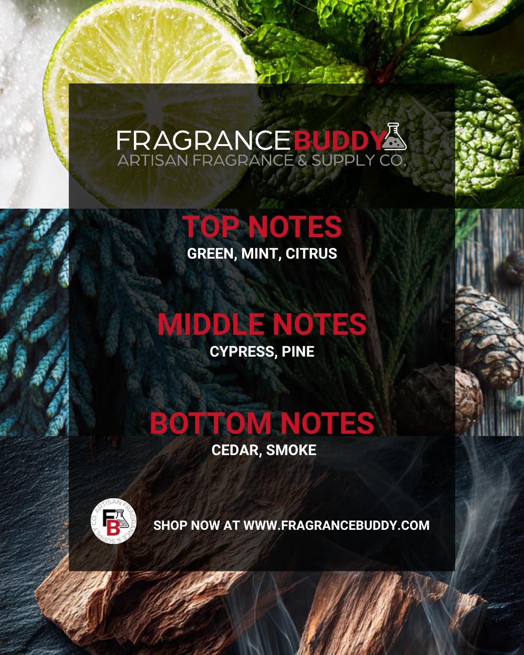 Birch Shavings Fragrance Oil