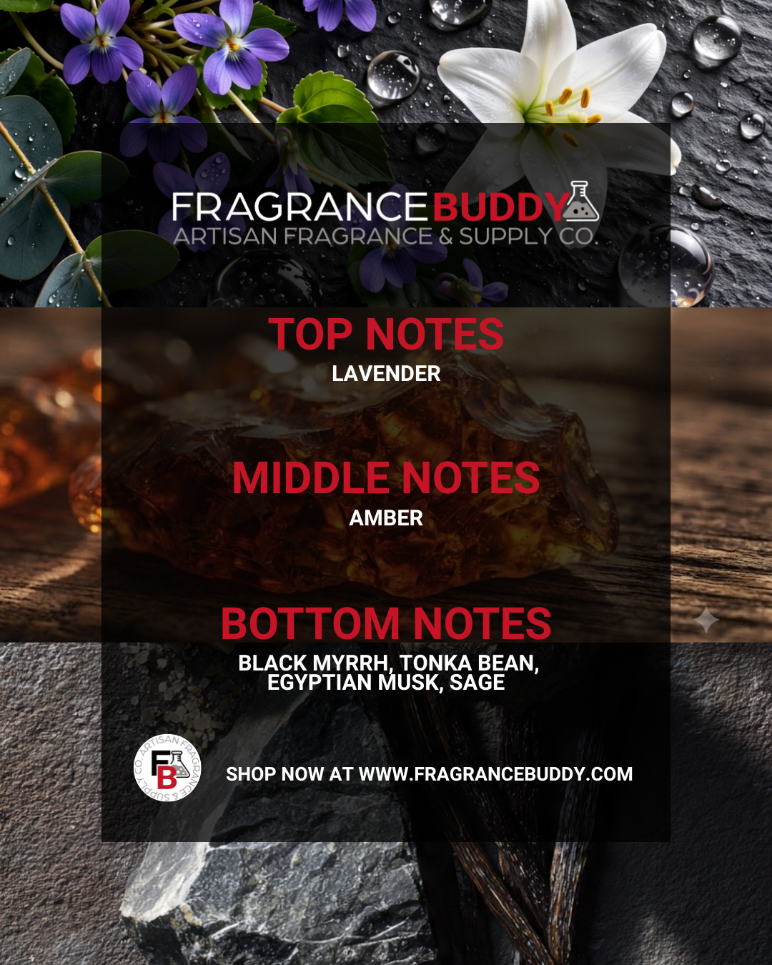 Black Amber & Lavender Fragrance Oil