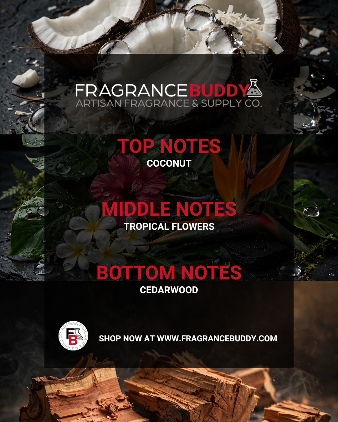 Black Coconut Type Fragrance Oil - FragranceBuddy