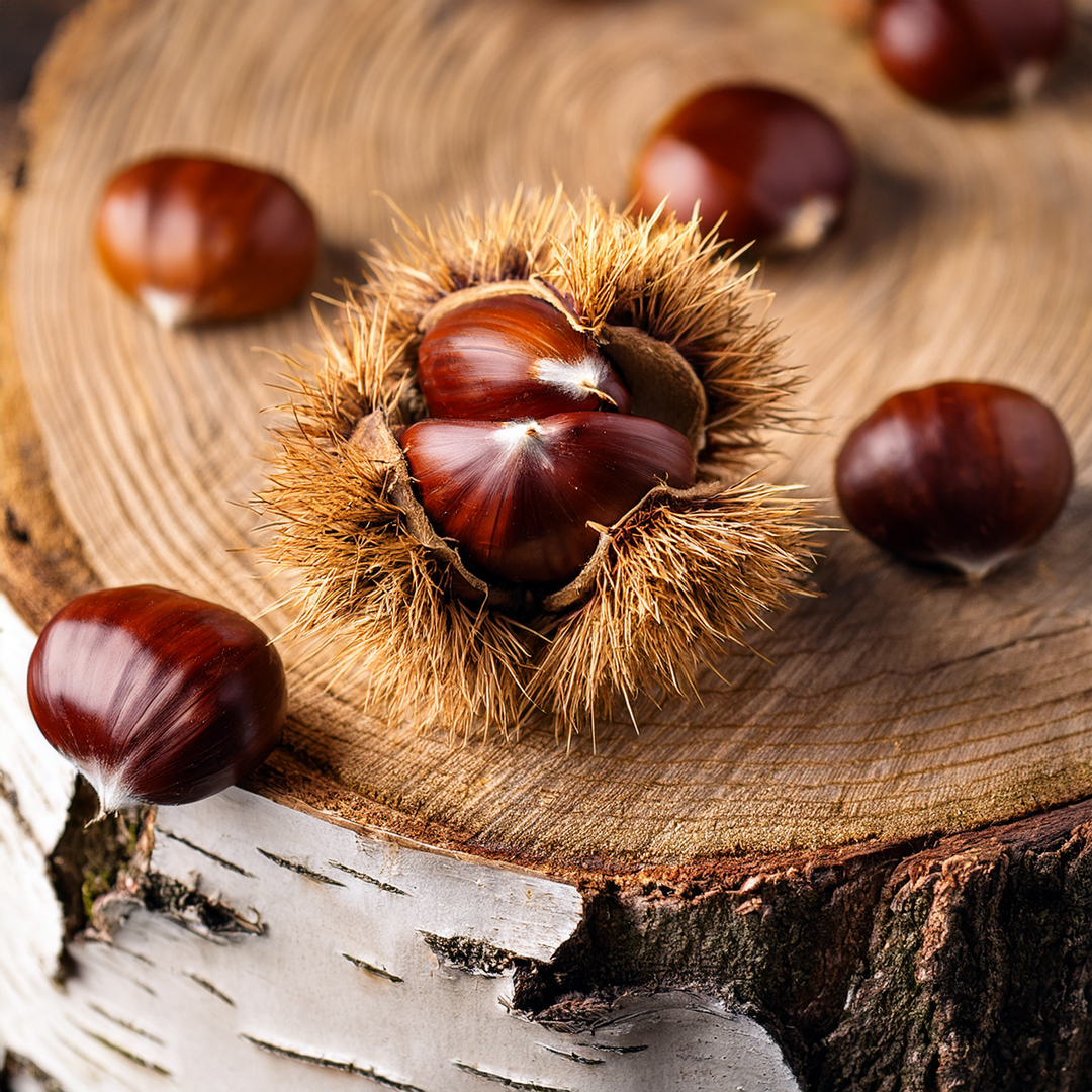 Chestnut & Birch - FragranceBuddy