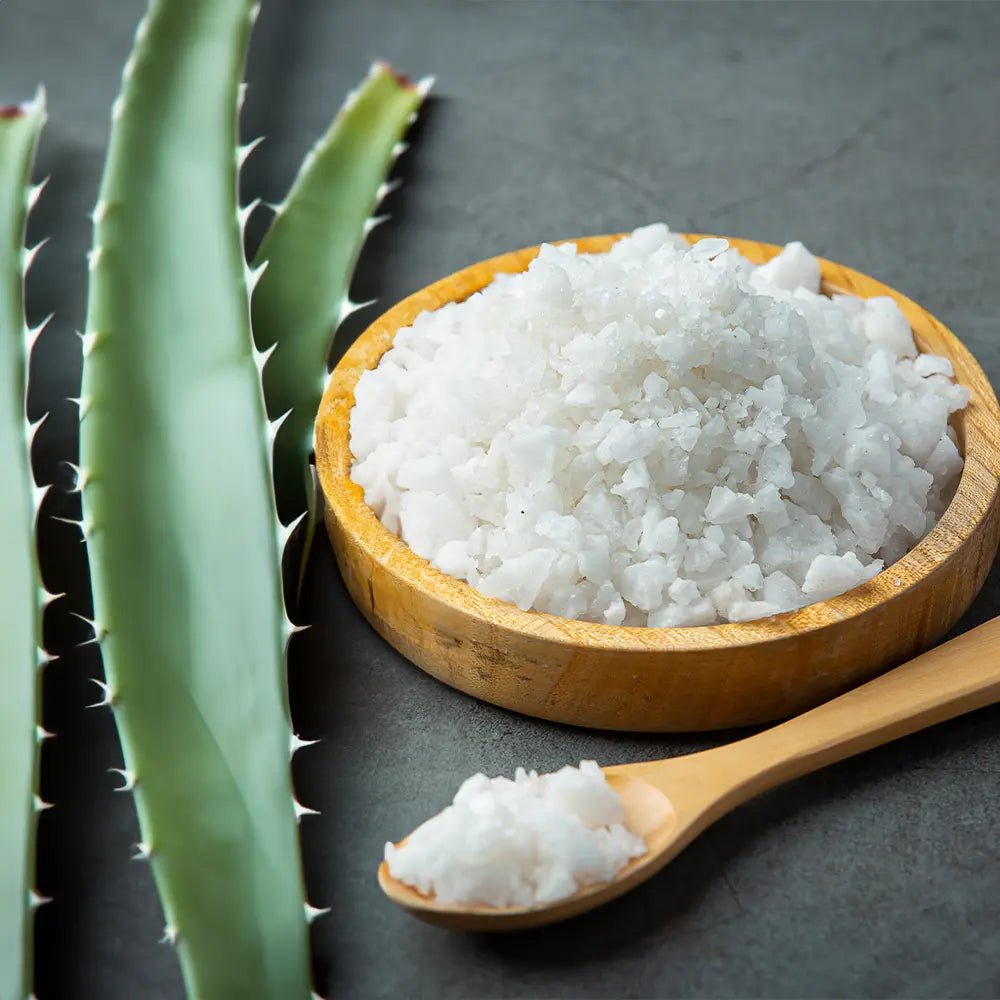 Sea Salt and Agave Fragrance - FragranceBuddy