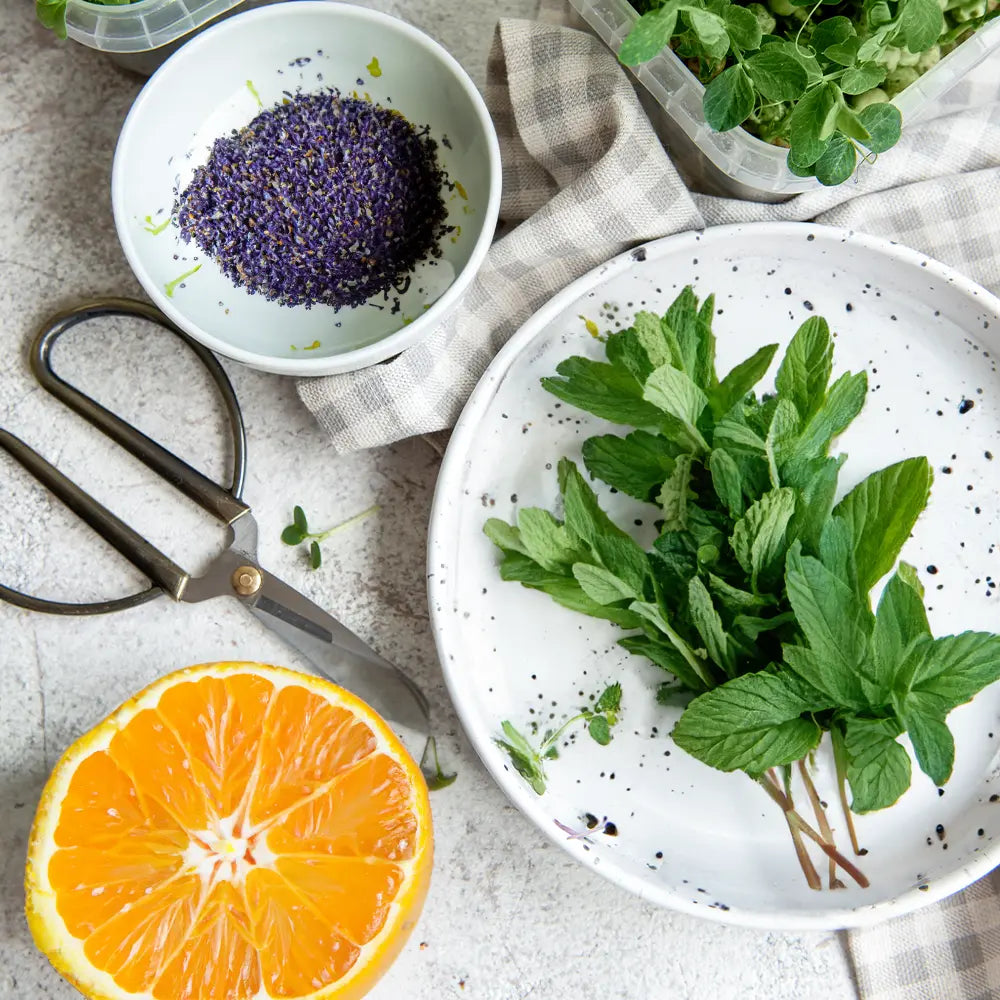 Tarragon Mist Fragrance