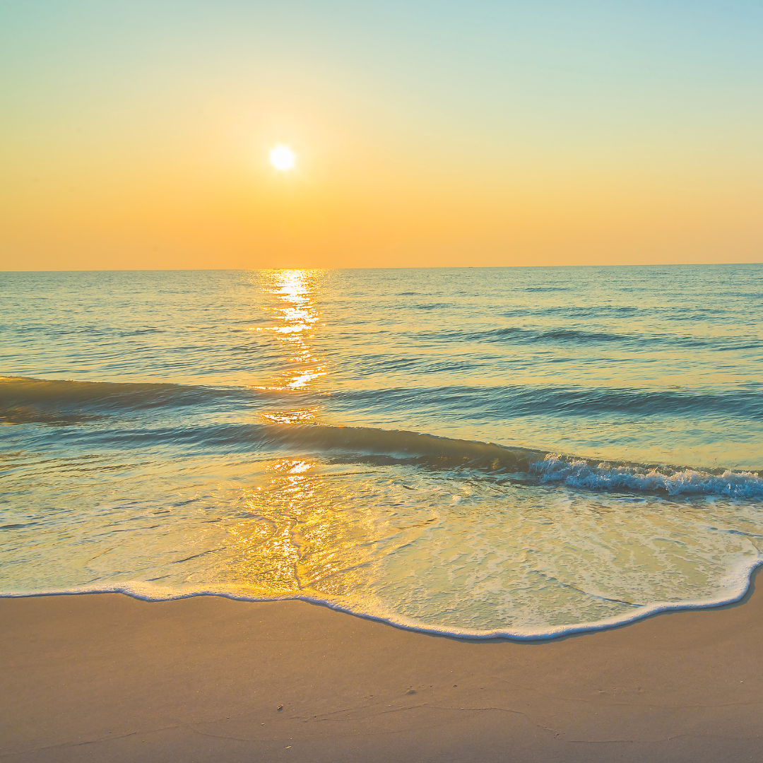 Sun and Sand Type Fragrance Oil - FragranceBuddy