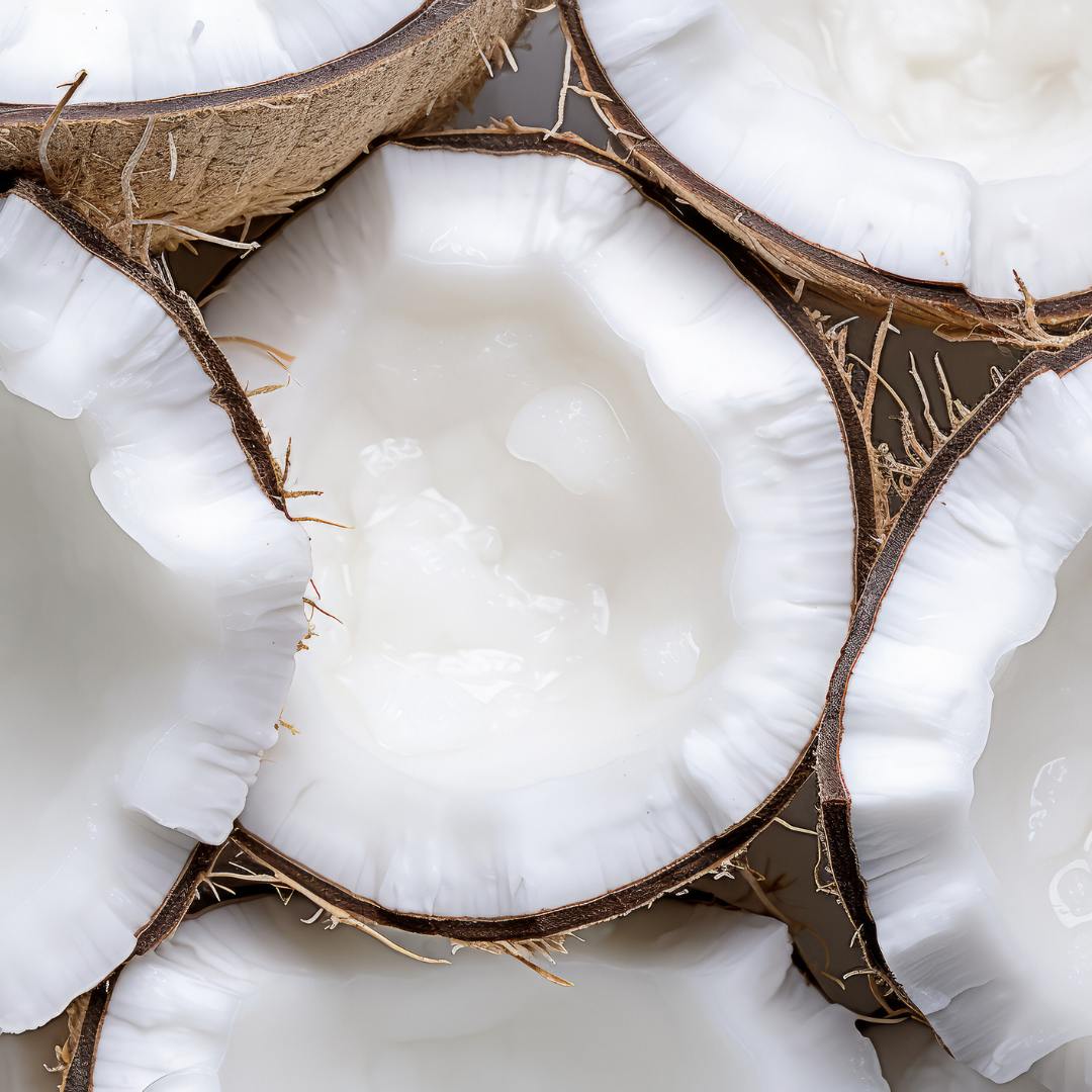Coconut Fragrance Oil - FragranceBuddy