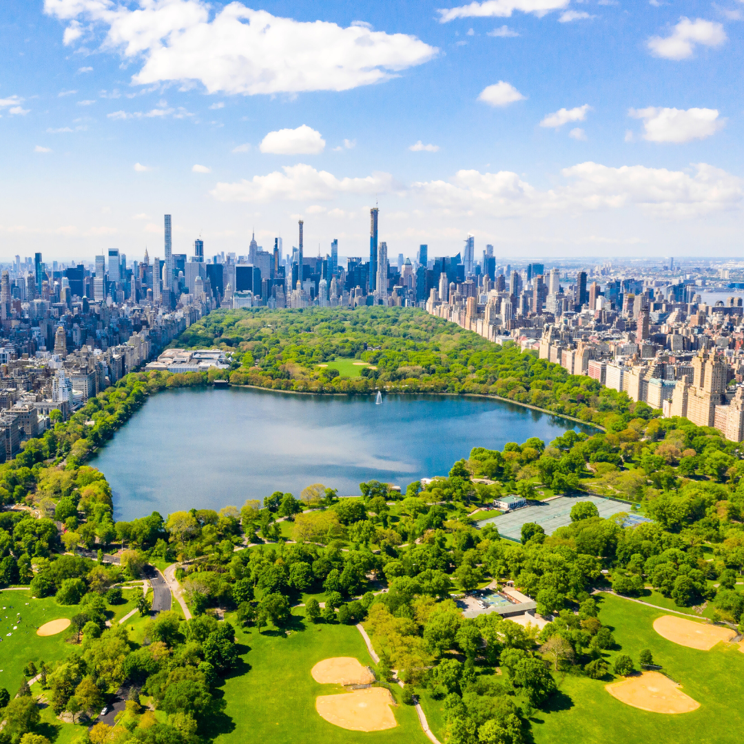 Central Park Fragrance Oil