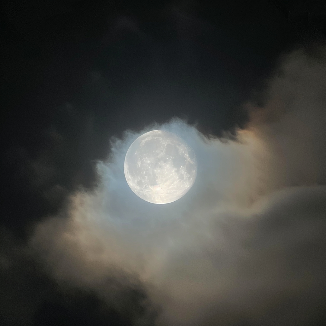 Moon Beam Fragrance Oil - FragranceBuddy