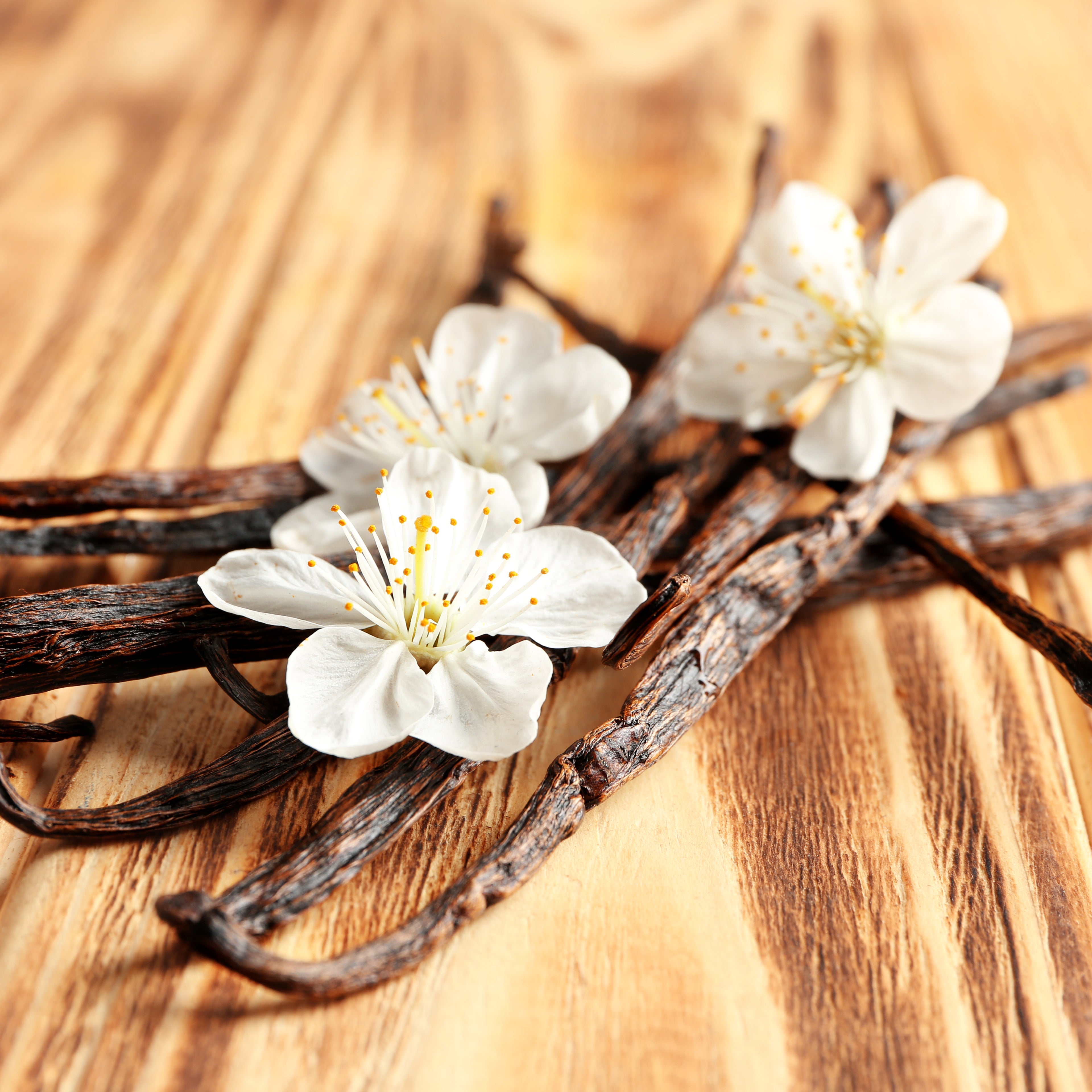 Vanilla Birch Type Fragrance Oil - FragranceBuddy