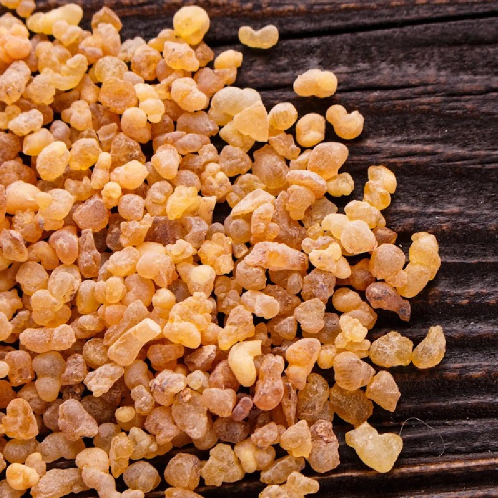 Frankincense and Myrrh Fragrance - FragranceBuddy
