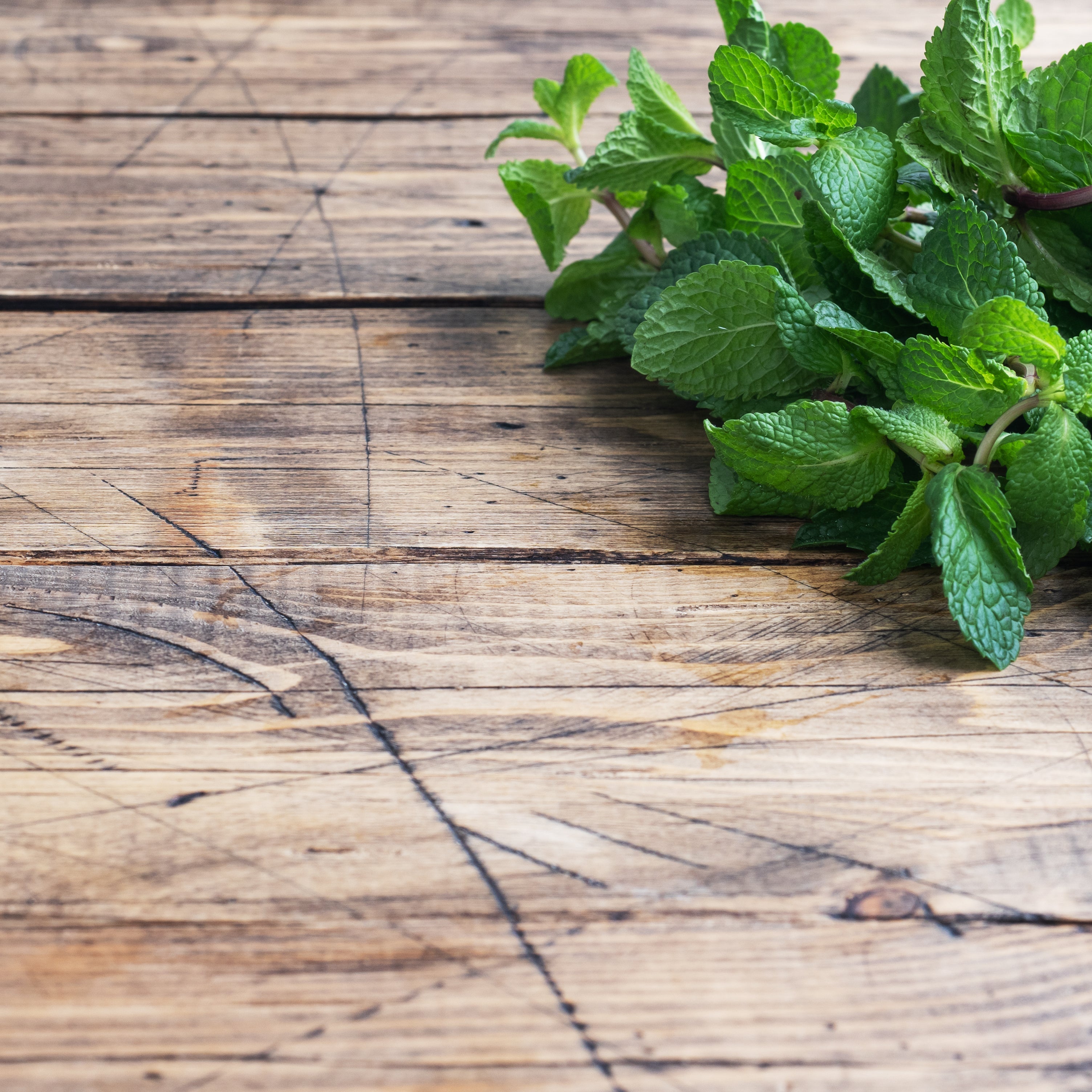 Palo Santo Patchouli Fragrance Oil - FragranceBuddy