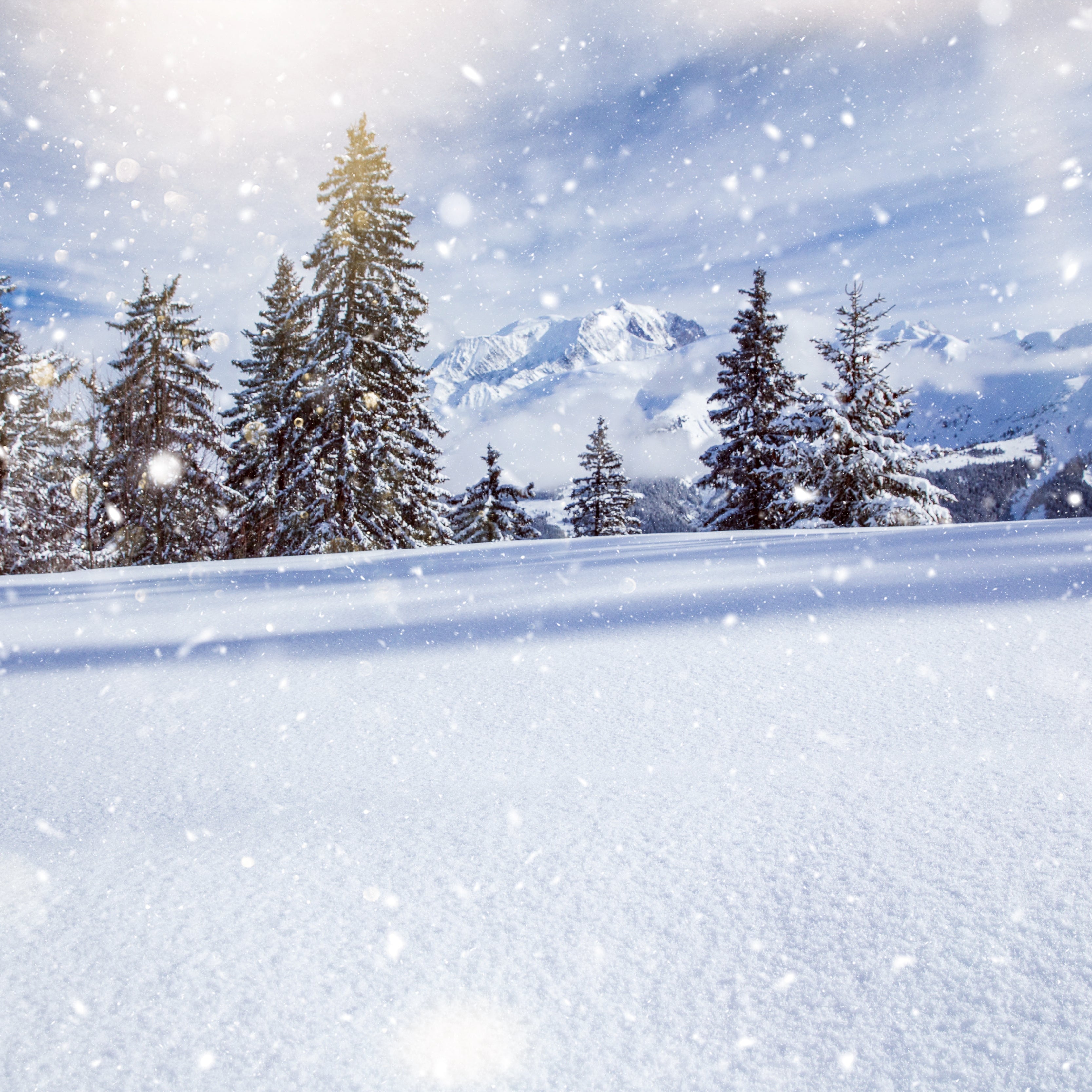 Fresh Snow Fragrance Oil - FragranceBuddy
