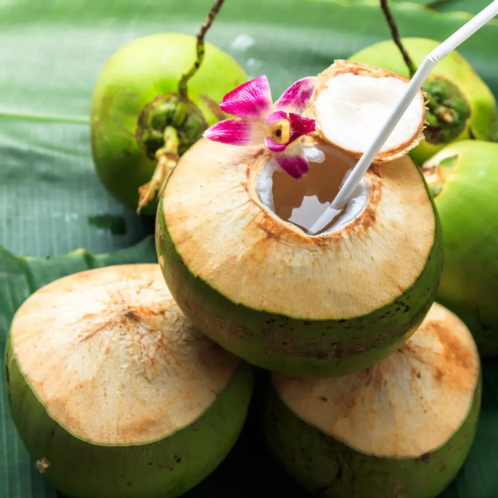 Tropical Treat Fragrance My Store
