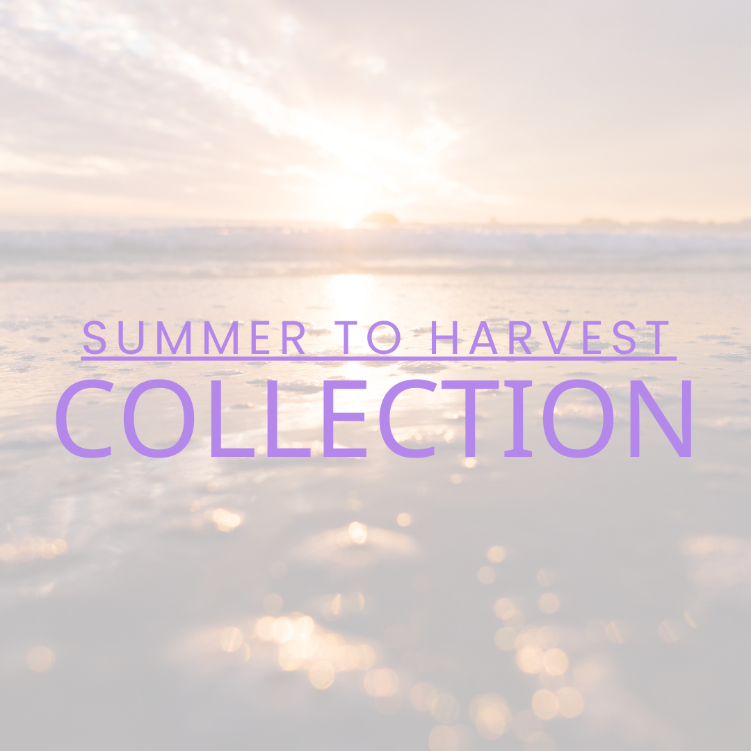 Sunset to Harvest Collection Sampler