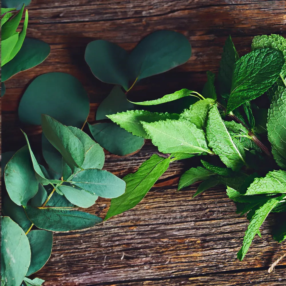 Eucalyptus Spearmint by Peak ® Type Fragrance - FragranceBuddy