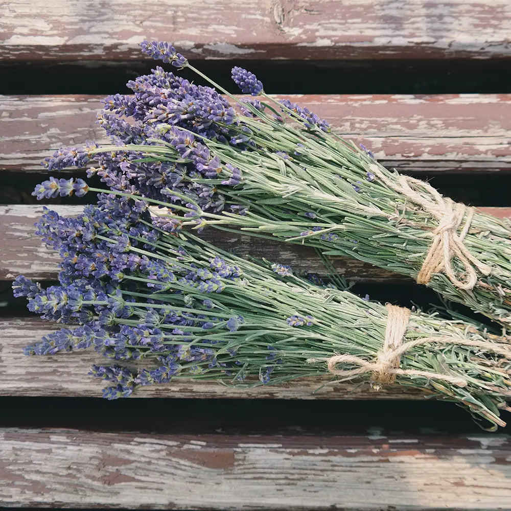 Lavender Woods Type Fragrance - FragranceBuddy