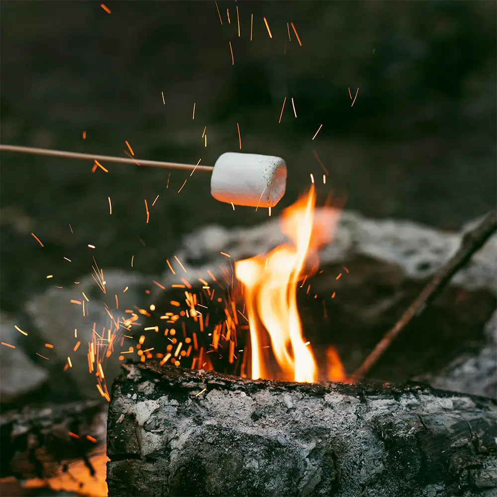 Marshmallow Fireside Type Fragrance - FragranceBuddy