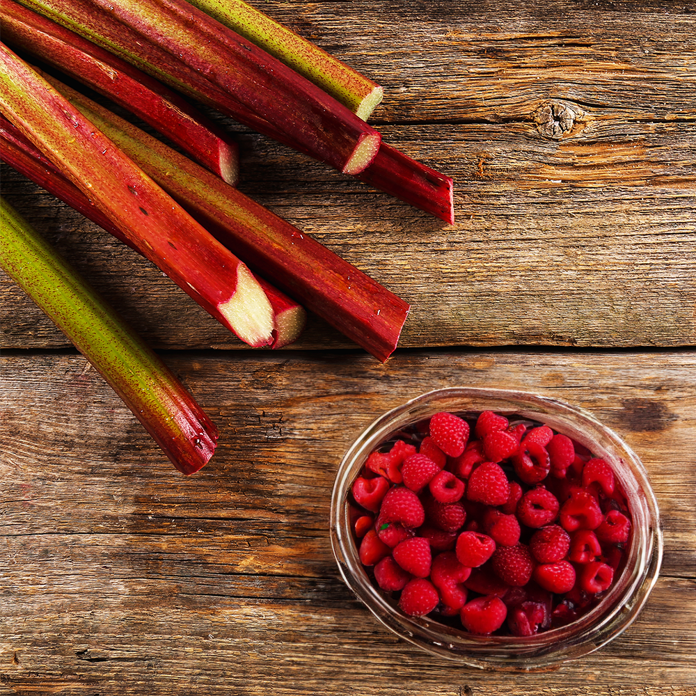 Rhubarb & Berry Cashmere Type Fragrance Oil