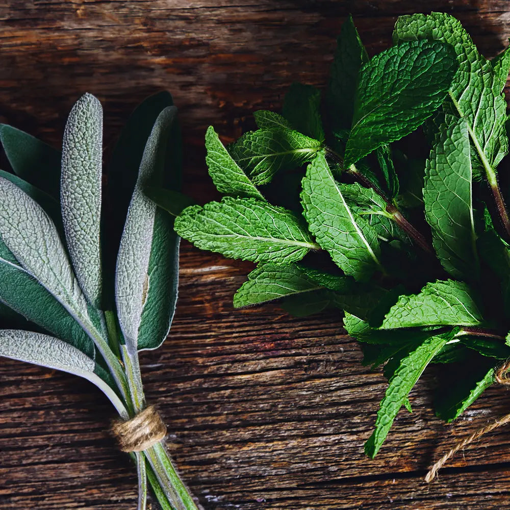 Purple Sage and Mint Leaf Fragrance - FragranceBuddy