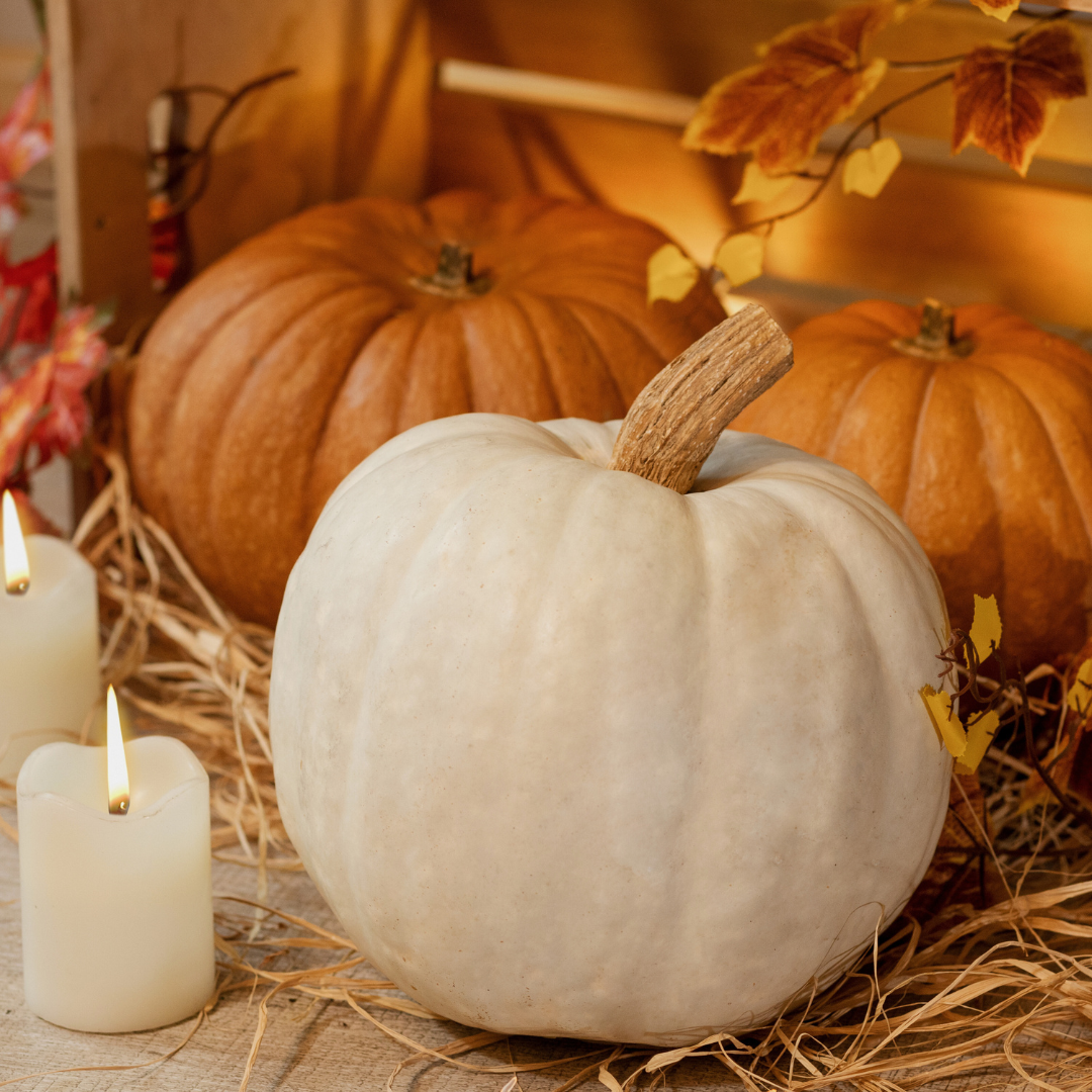 Spiced Pumpkin and Patchouli Type Fragrance Oil - FragranceBuddy