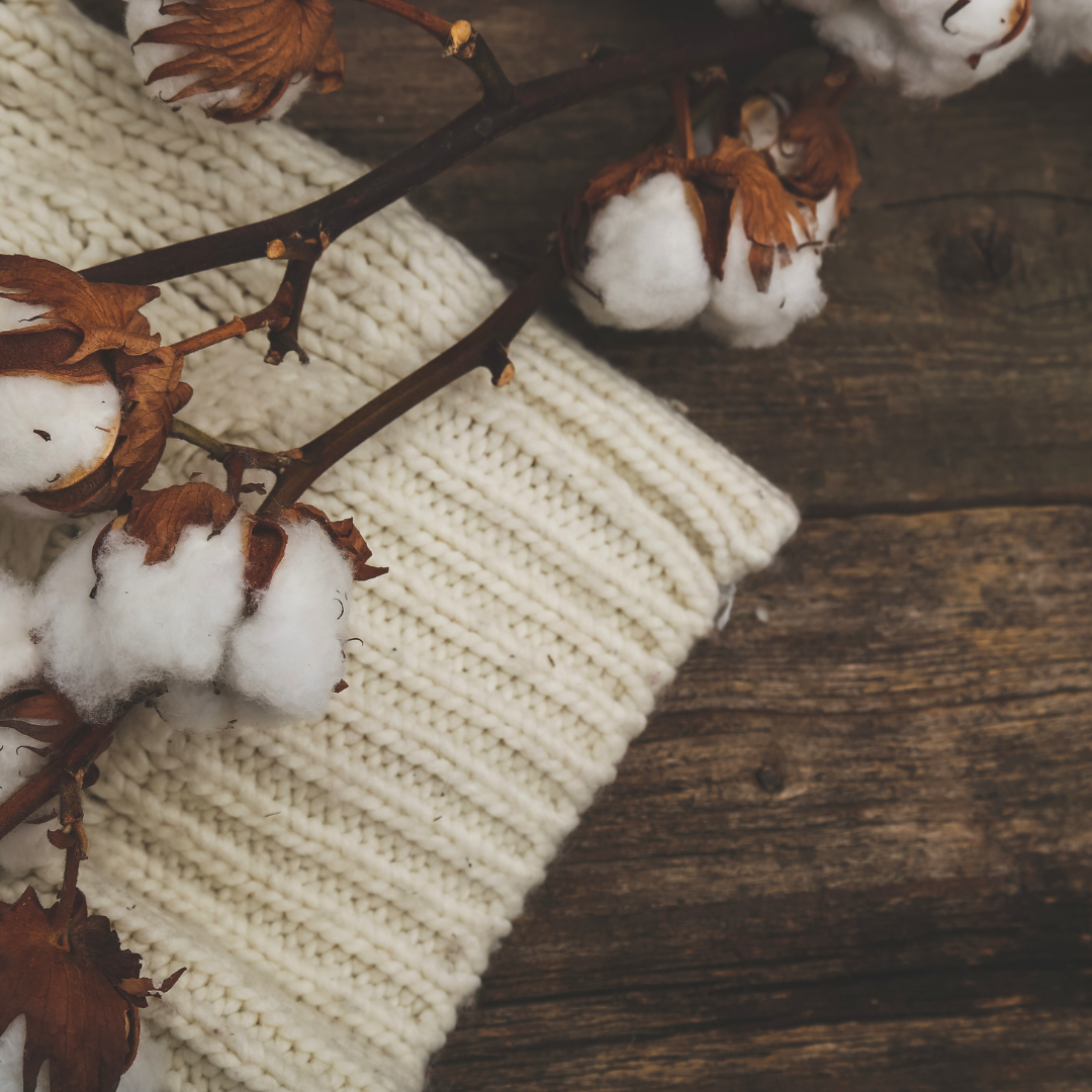 Cashmere Forest Fragrance Oil - FragranceBuddy