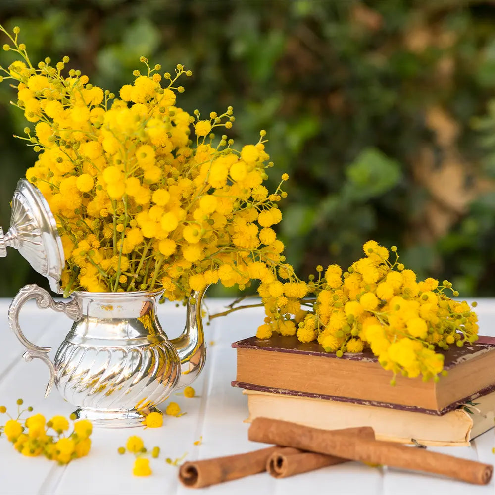 Ulex Blossom Fragrance 