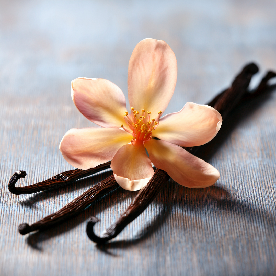 Peach Blossom & Vanilla Noir Type - FragranceBuddy