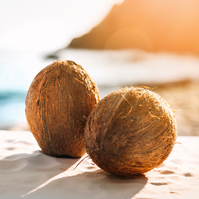 Tipsy Coconut Fragrance Oil - FragranceBuddy