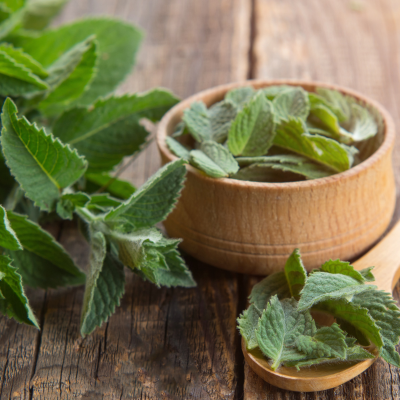 Overstock Spearmint Fragrance Oil - FragranceBuddy