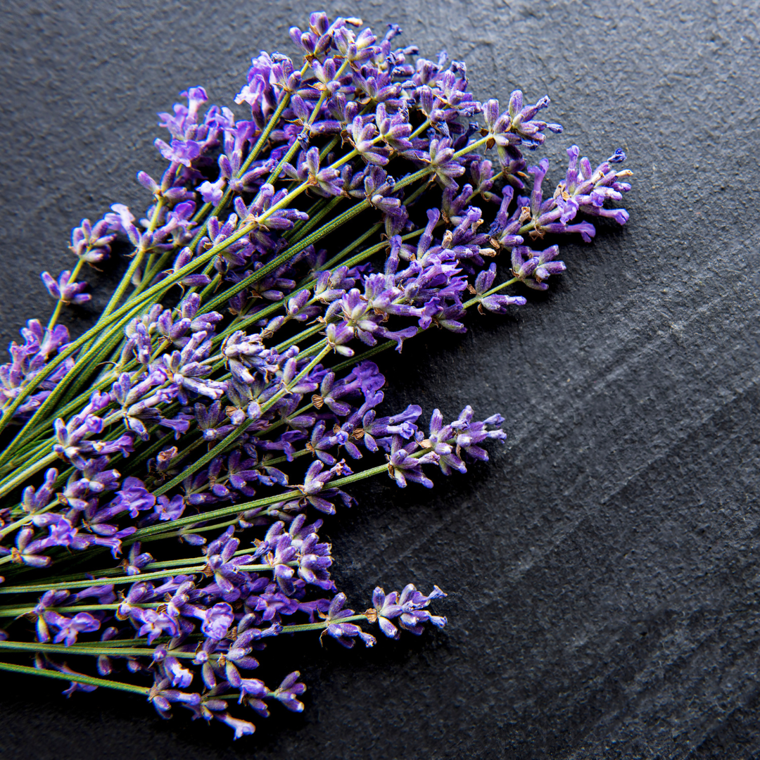 Black Amber & Lavender Fragrance Oil