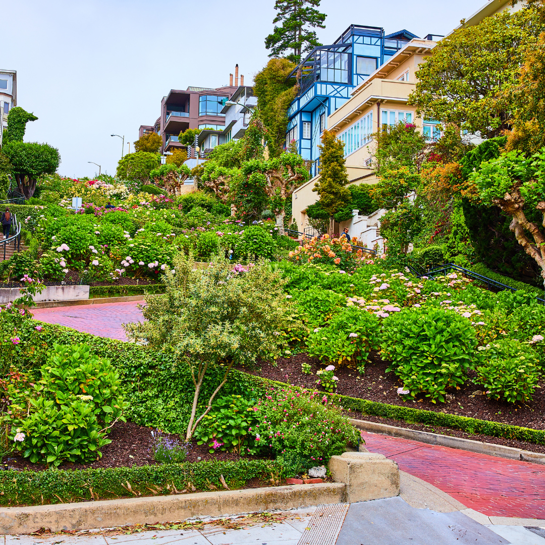Lombard Street by Sixteen Seventeen ® Fragrance Oil - FragranceBuddy