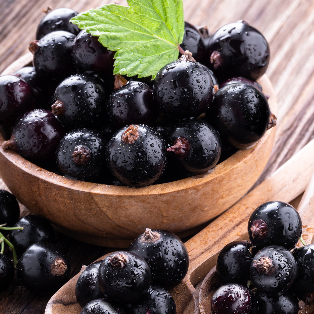 Sparkling Currant Buds Fragrance Oil - FragranceBuddy