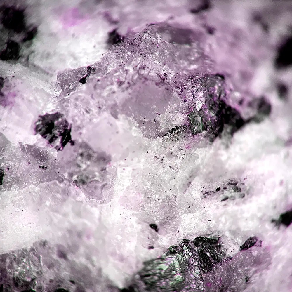 Black Amethyst Type Fragrance - FragranceBuddy