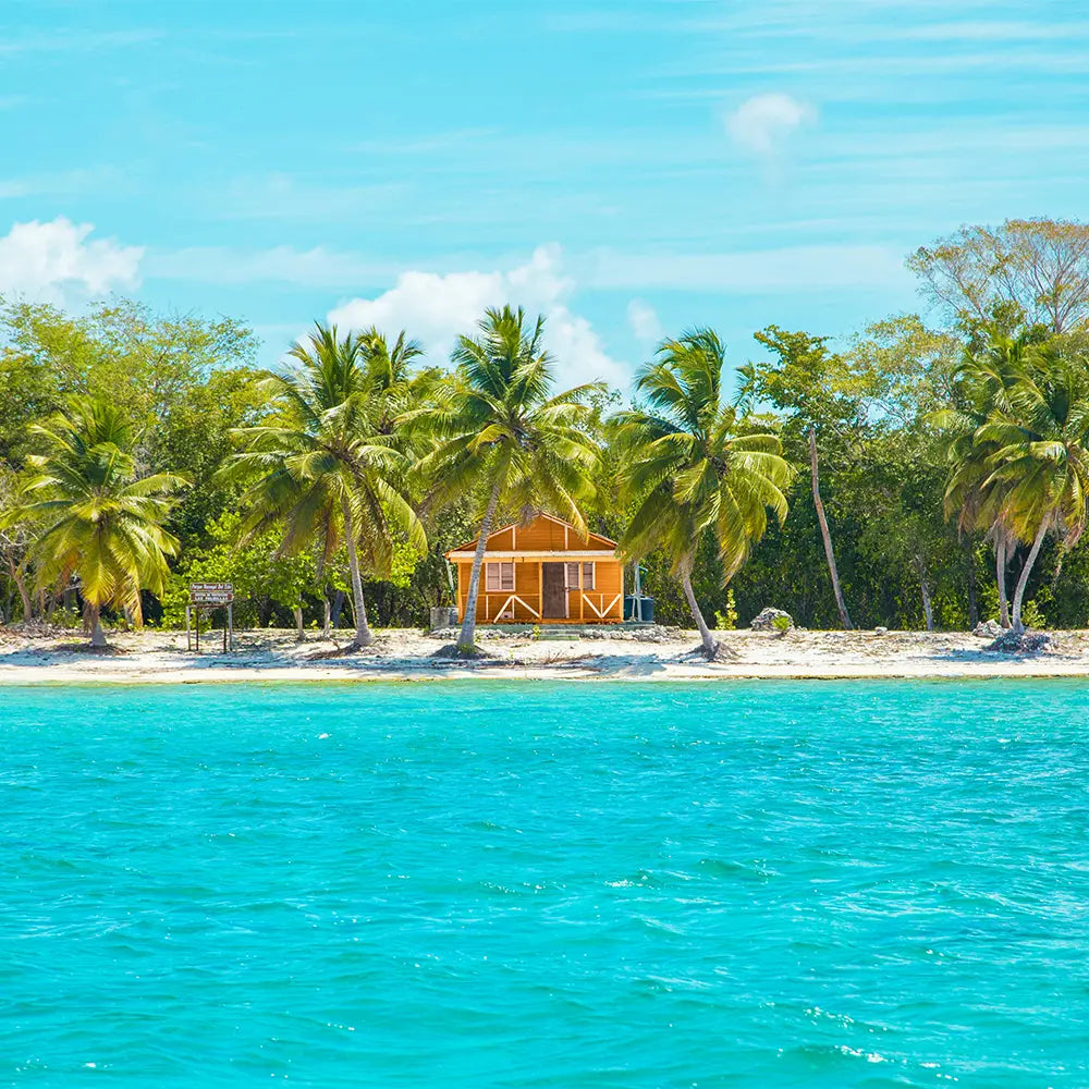 Caribbean Escape Type Fragrance - FragranceBuddy