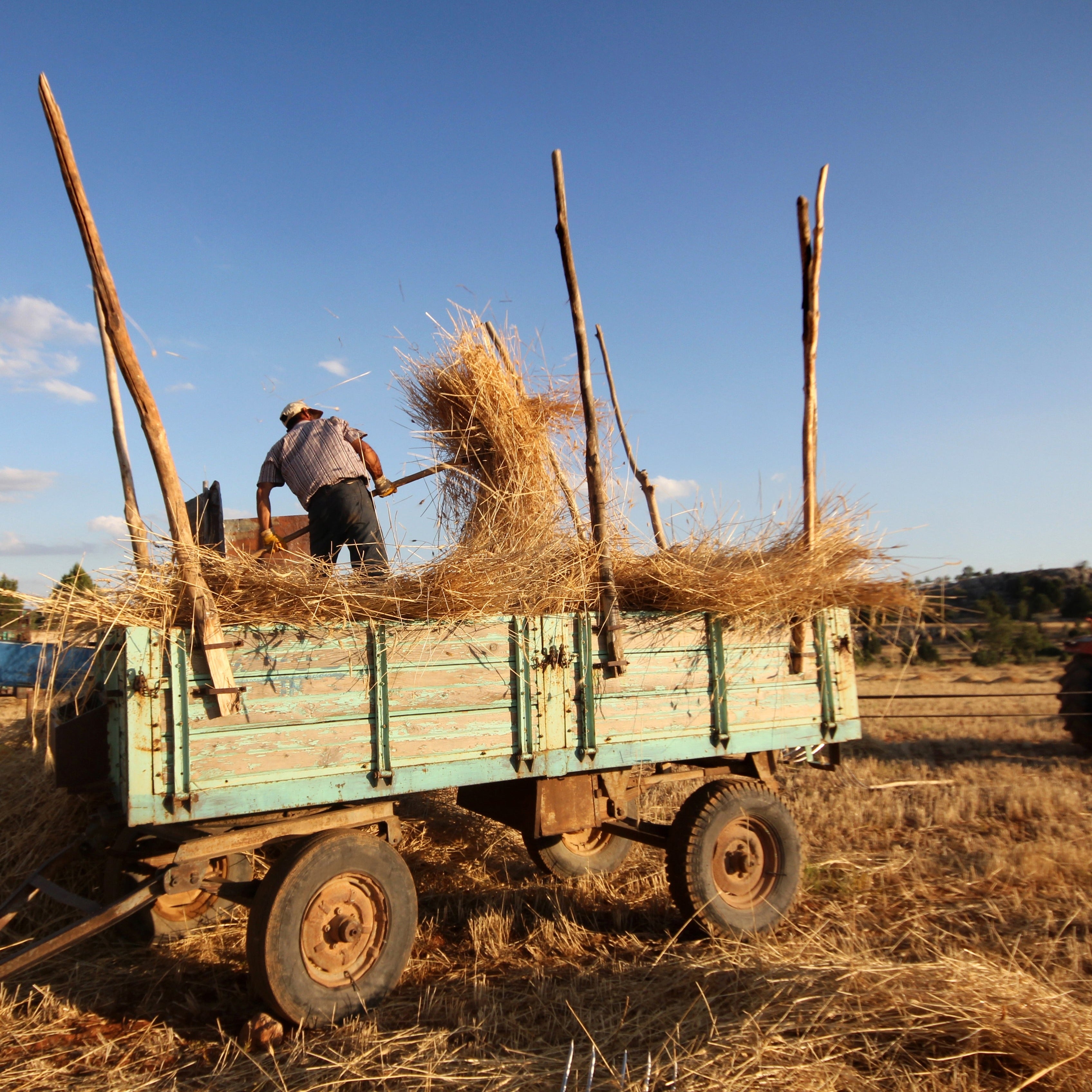 Hay Rides Fragrance Oil