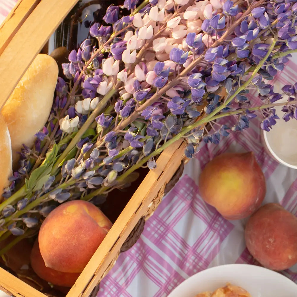 Lavender and Spring Apricot Type Fragrance - FragranceBuddy