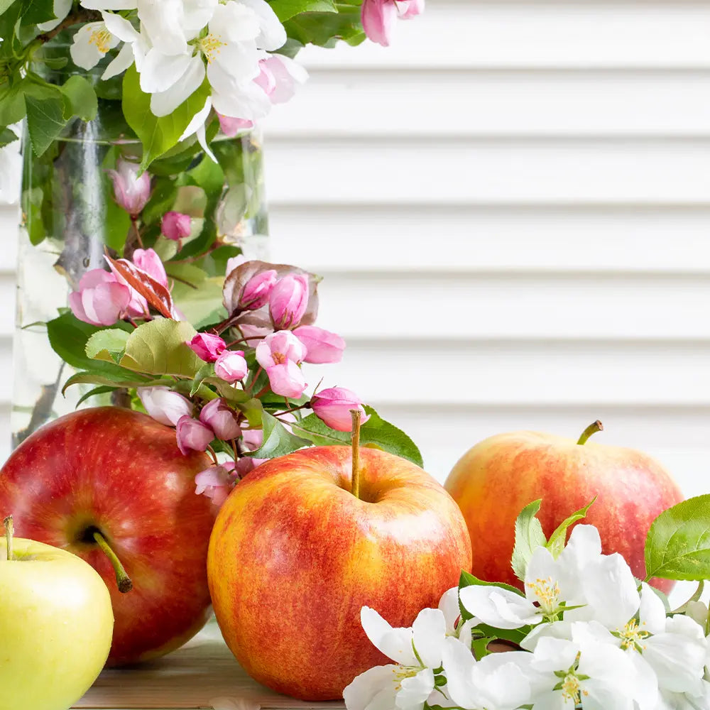 Botanical Orchard and Nectar by Peak ® Type Fragrance - FragranceBuddy