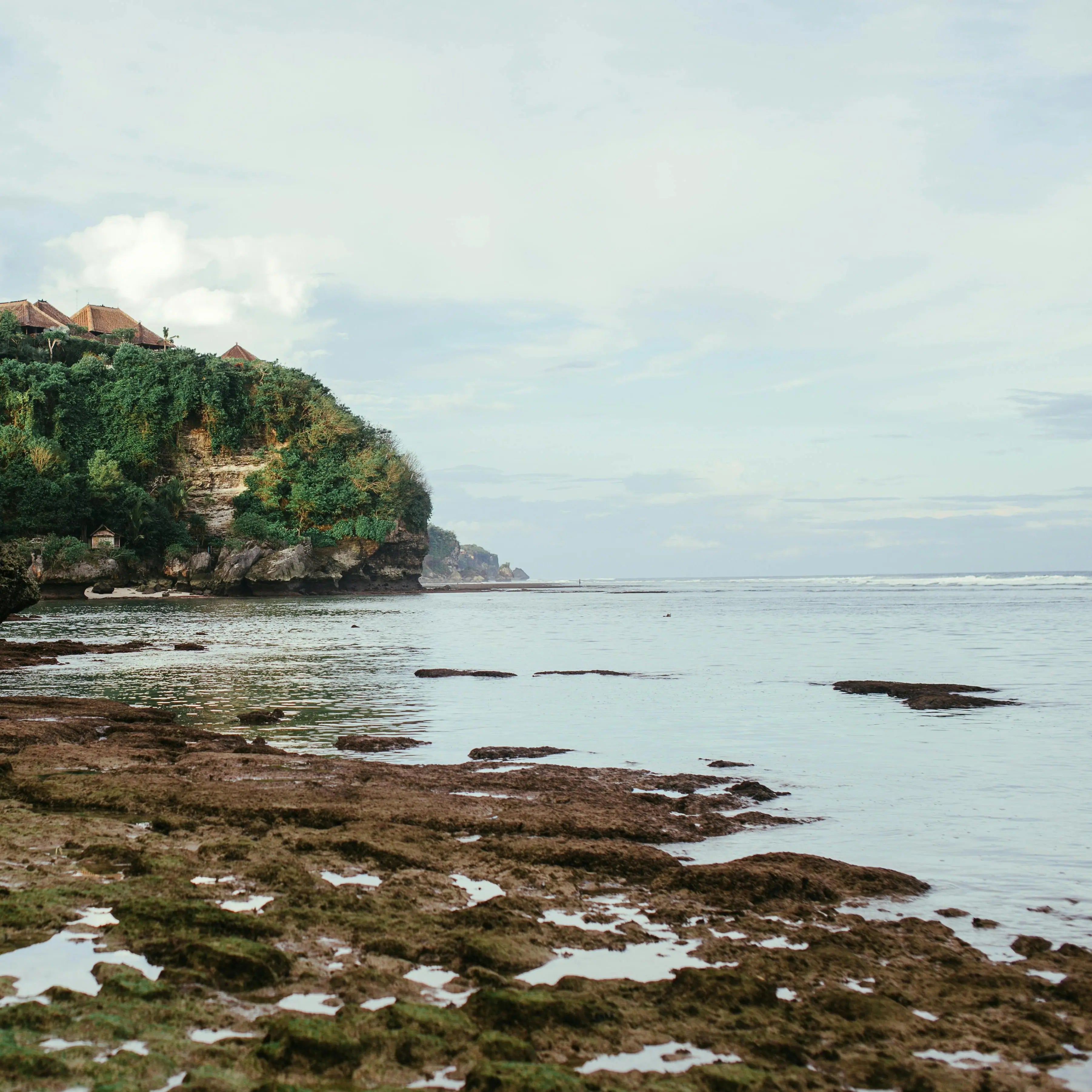 Low Tide Fragrance FragranceBuddy