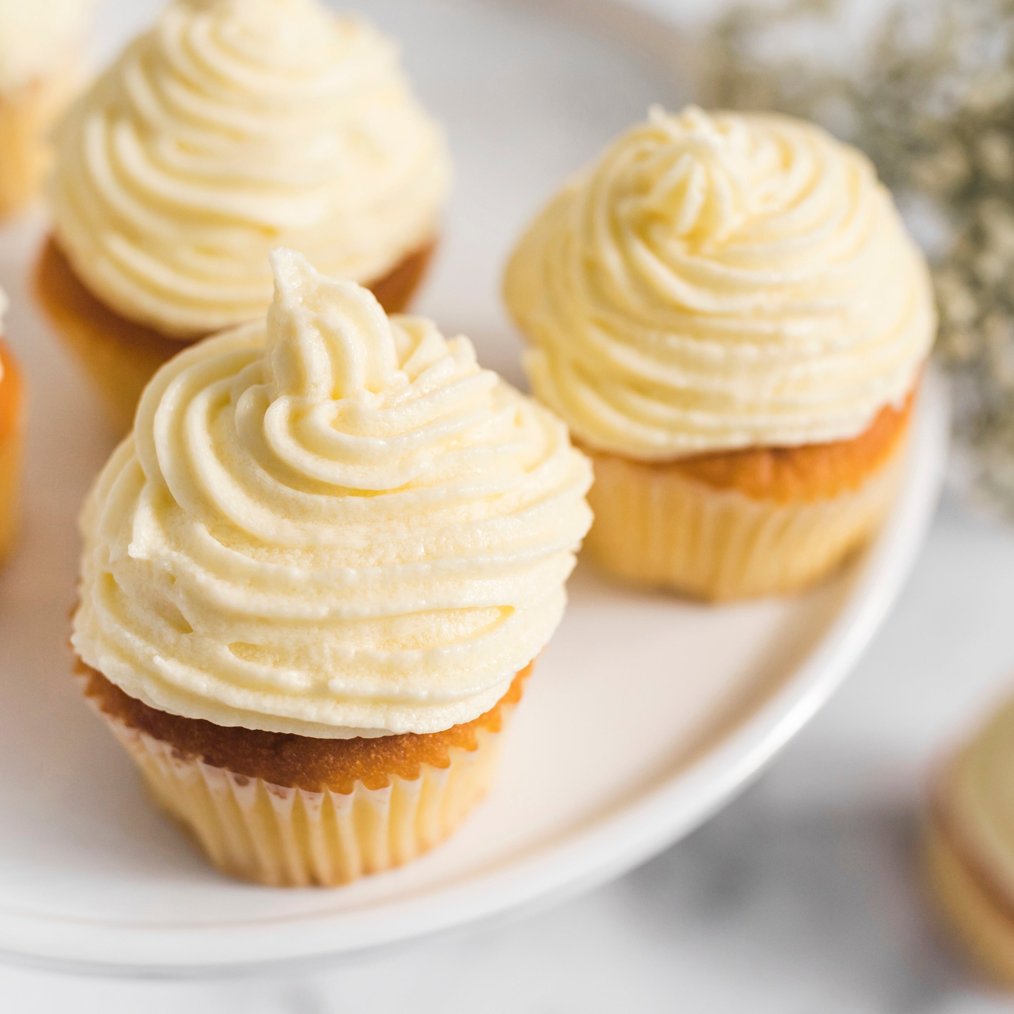 White Cupcake Fragrance Oil